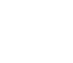 SWEETS HANAECHIZEN SINCE 1990